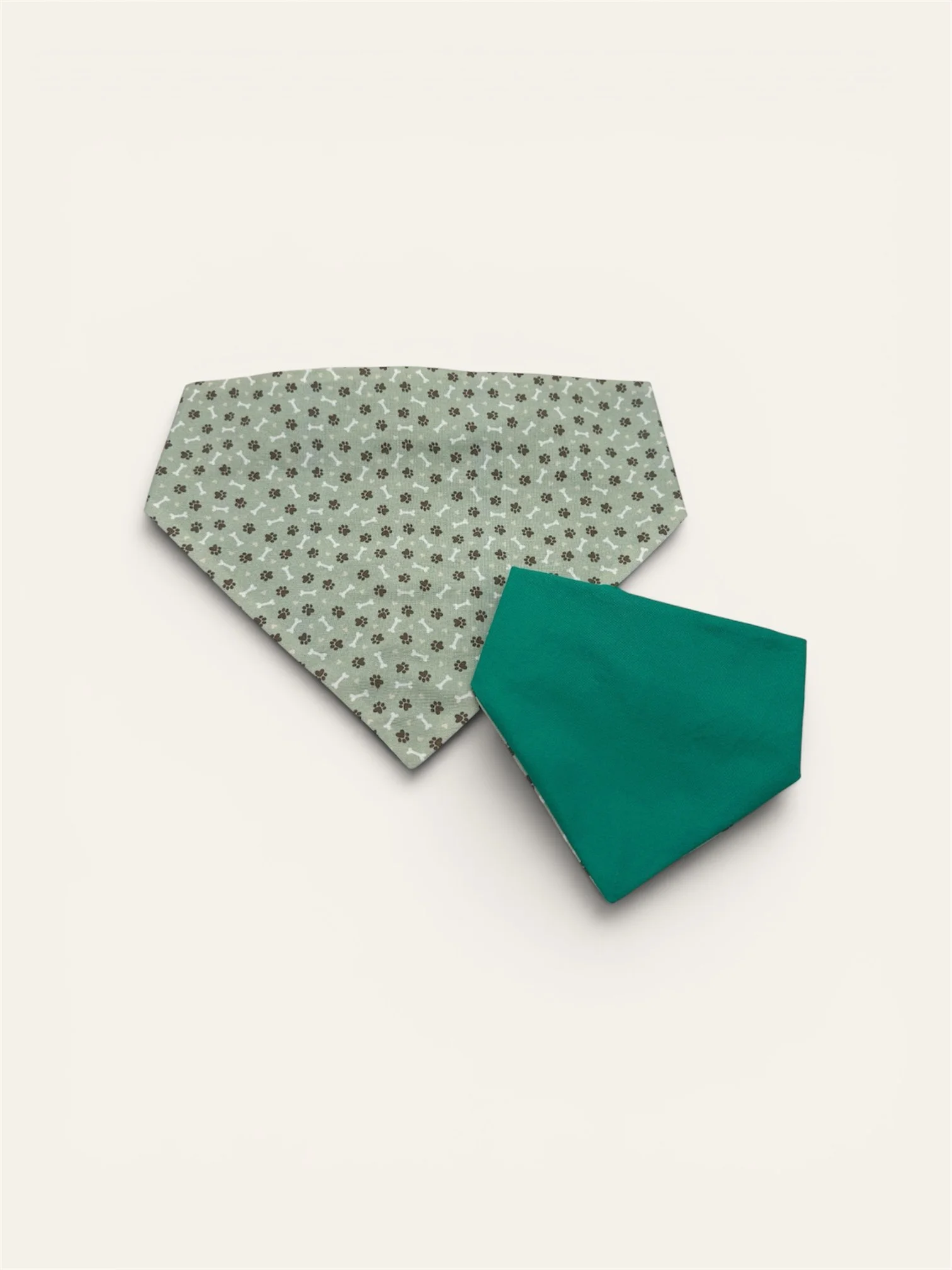 Fetch & Wander GREEN white background.JPG.JPG