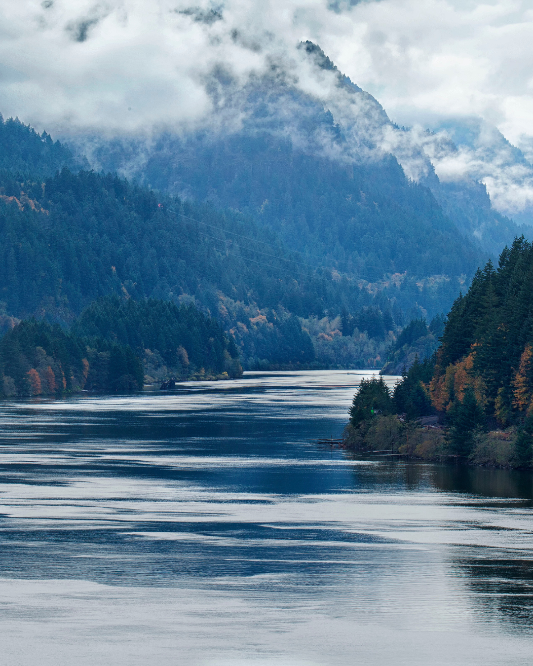 Pacific Northwest Water and Trees