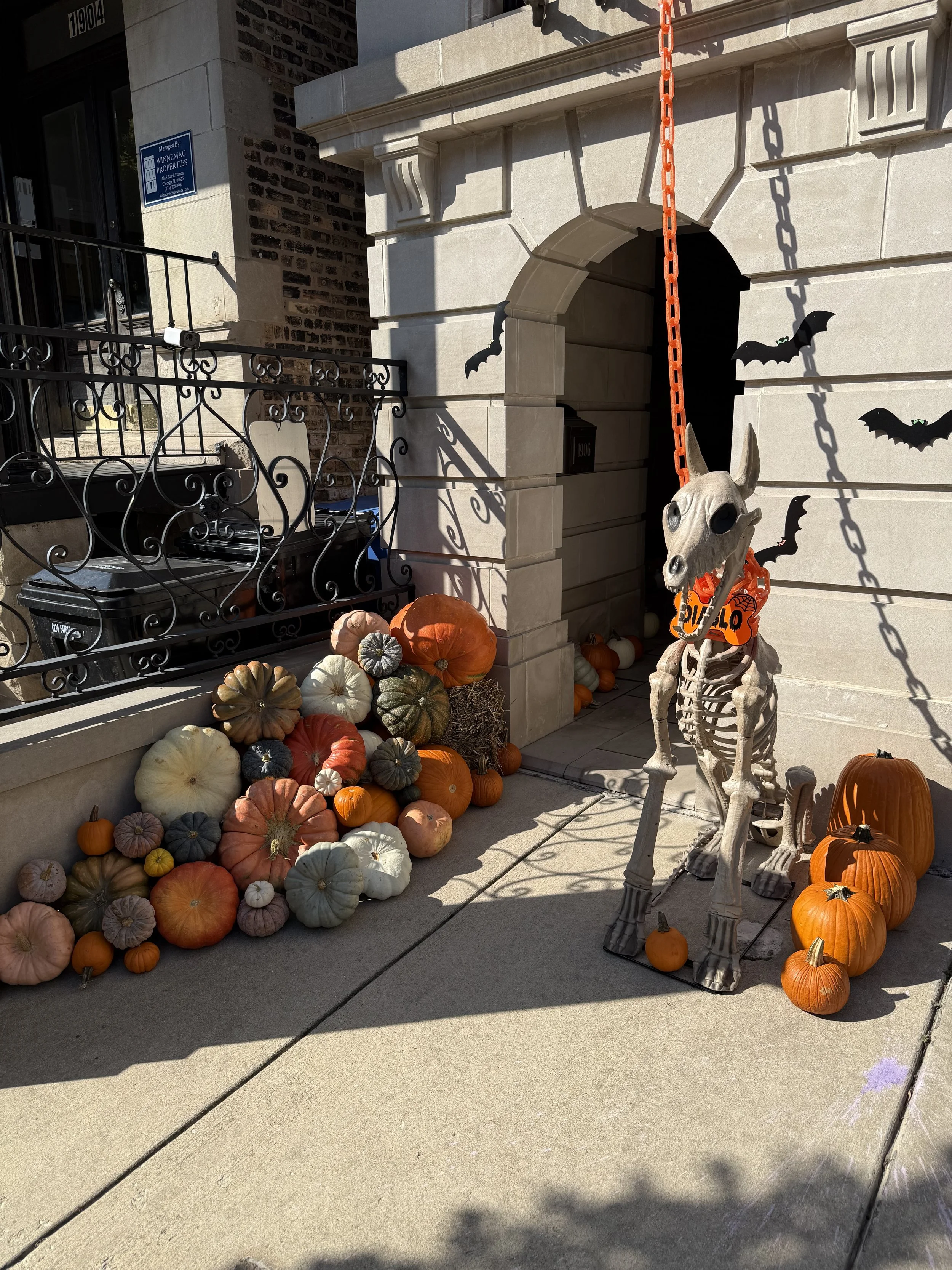 IMG_5877.jpeg