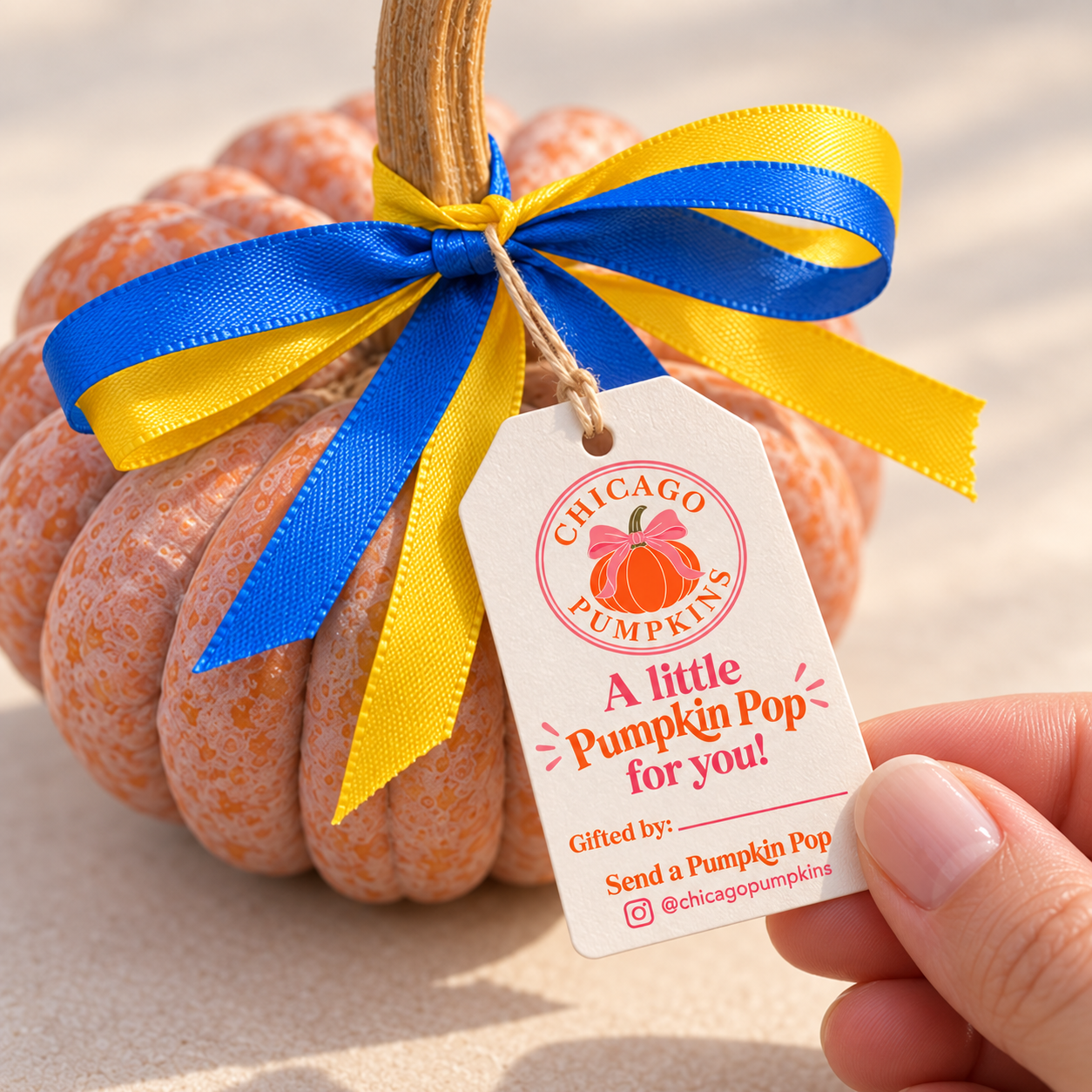 Pumpkin Pop Tag Reveal.png