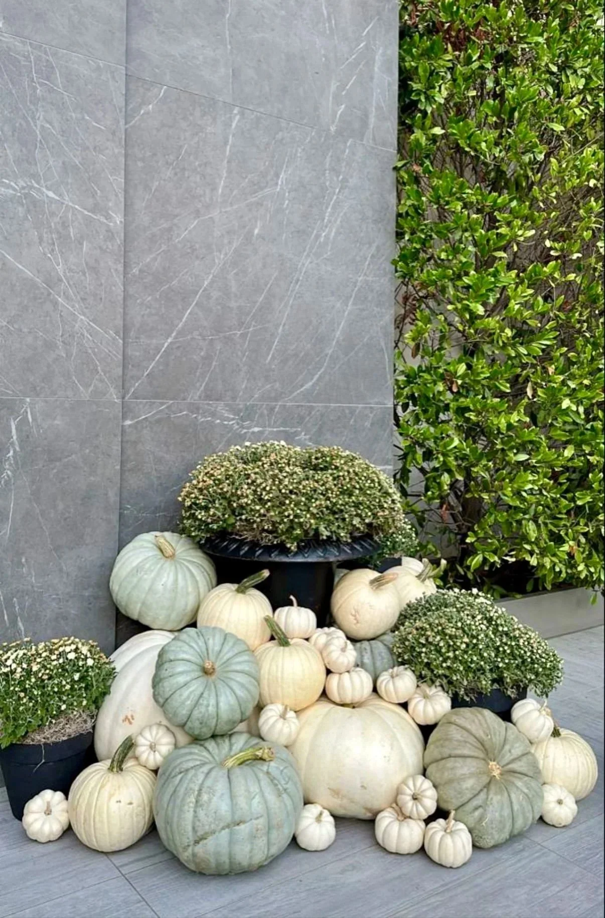 Neutral Harvest