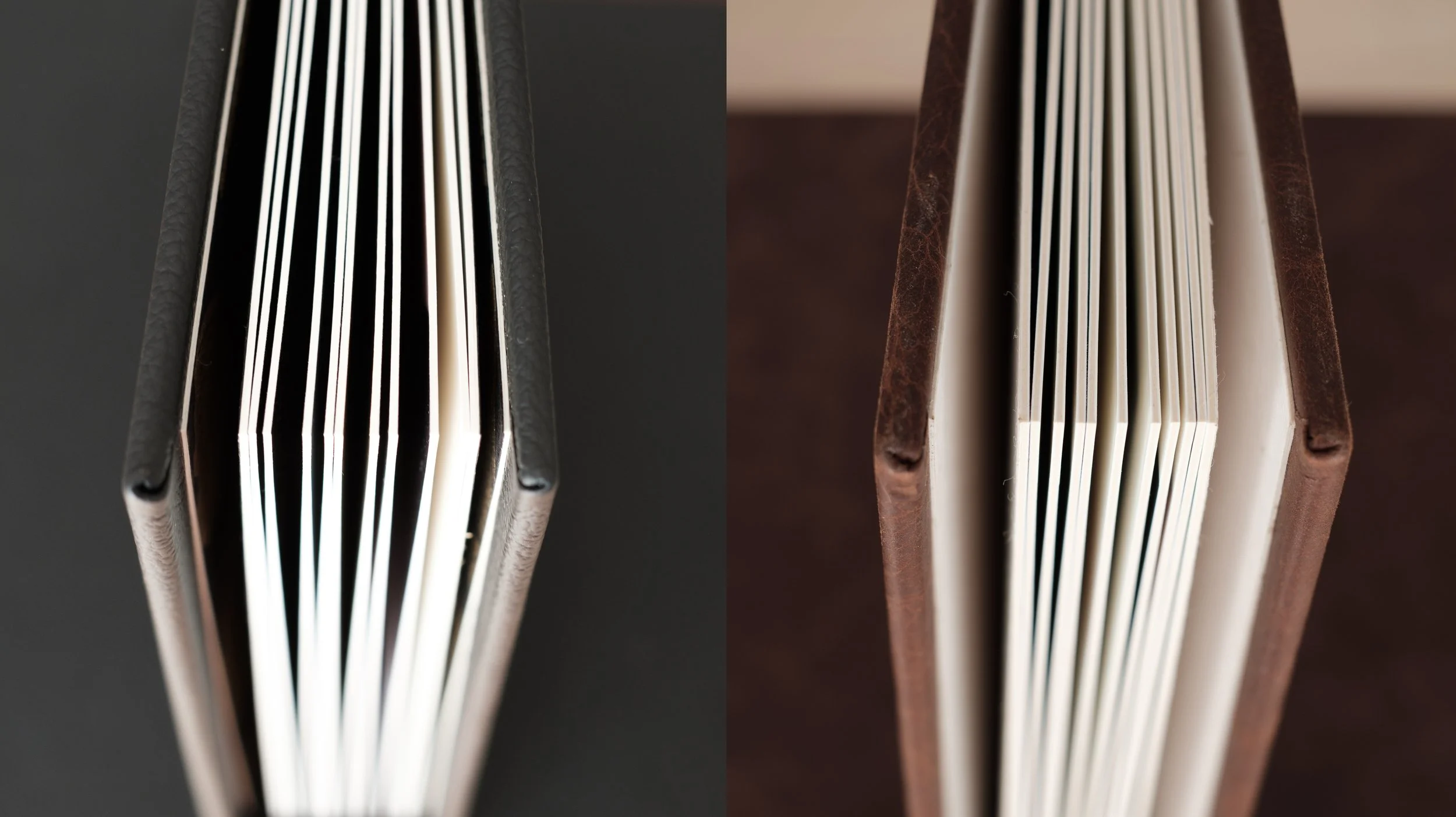 Album Expansion: +5 Pages / +10 Images