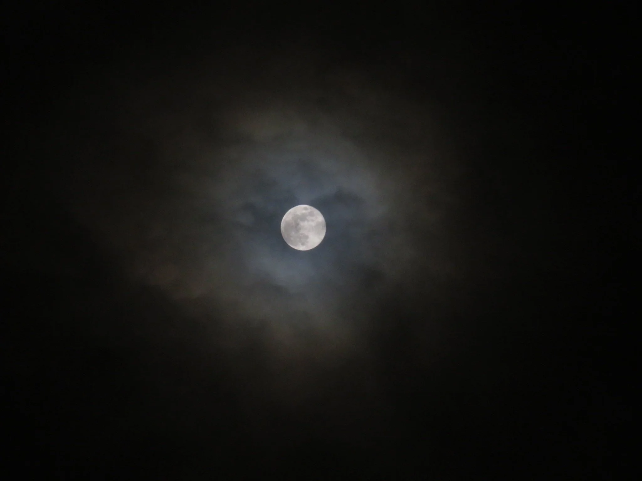 IMG_0842.jpeg