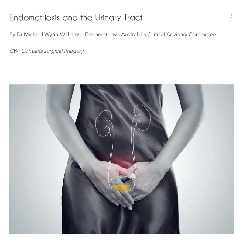 A woman in a satin dress holding her lower abdomen with an overlay illustration of the urinary tract, highlighting the bladder and kidneys, with a red area indicating pain or inflammation.