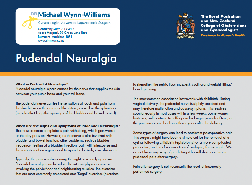 A medical information flyer about Pudendal Neuralgia provided by Dr. Michael Wynn-Williams, a gynecologist and advanced laparoscopic surgeon, with the Royal Australian and New Zealand College of Obstetricians and Gynaecologists logo.