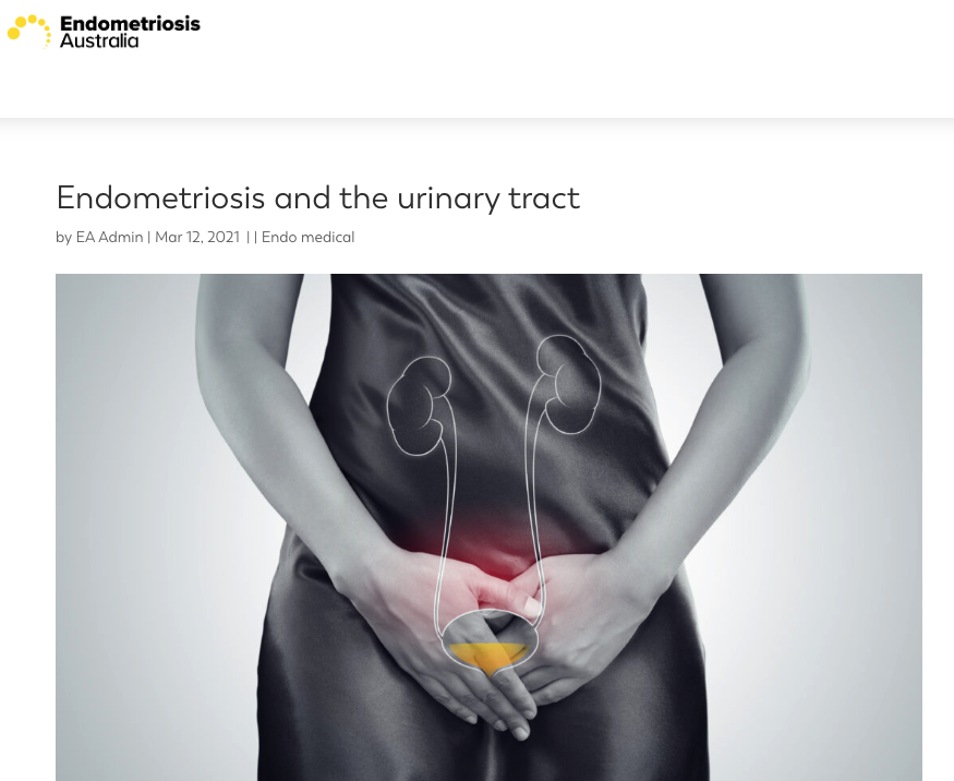 An illustration of a woman holding her lower abdomen, with a transparent overlay of the urinary tract and kidneys. The image highlights the pelvic area in red and yellow, indicating discomfort or pain, related to endometriosis and its effects on the urinary tract.