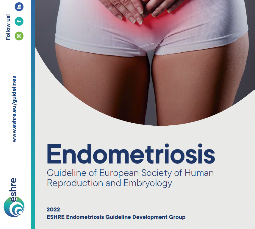 Cover of a medical guideline brochure on endometriosis, showing a woman wearing white shorts with her hands on her lower abdomen, highlighted with a red area indicating pain.