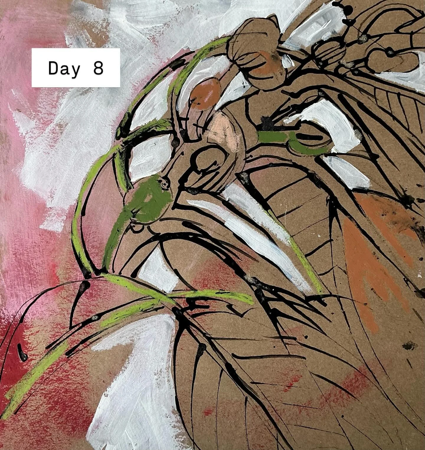 Week 2 of the 100 day project 

After a couple of days drawing ficus it was all about the pink flowering gums.