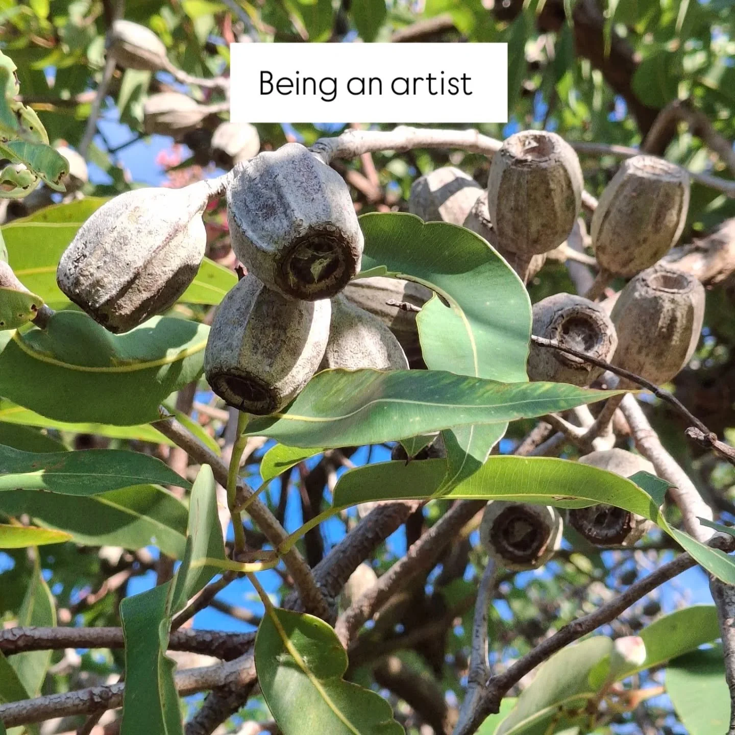 I post my daily glimmers in stories every day. 
Being an artist means constantly observing, seeking out the magic of ever day.

I have so many glimmer pics that dont make it onto stories that its time to have some best of the rest.