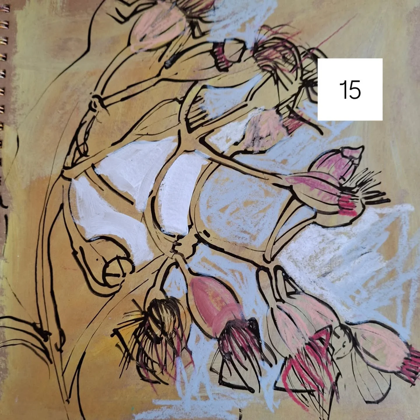 Week 3 of the 100 day project 

Gum flowers, gumnuts and bottle brush

#dothe100dayproject2026 #helenjevansart