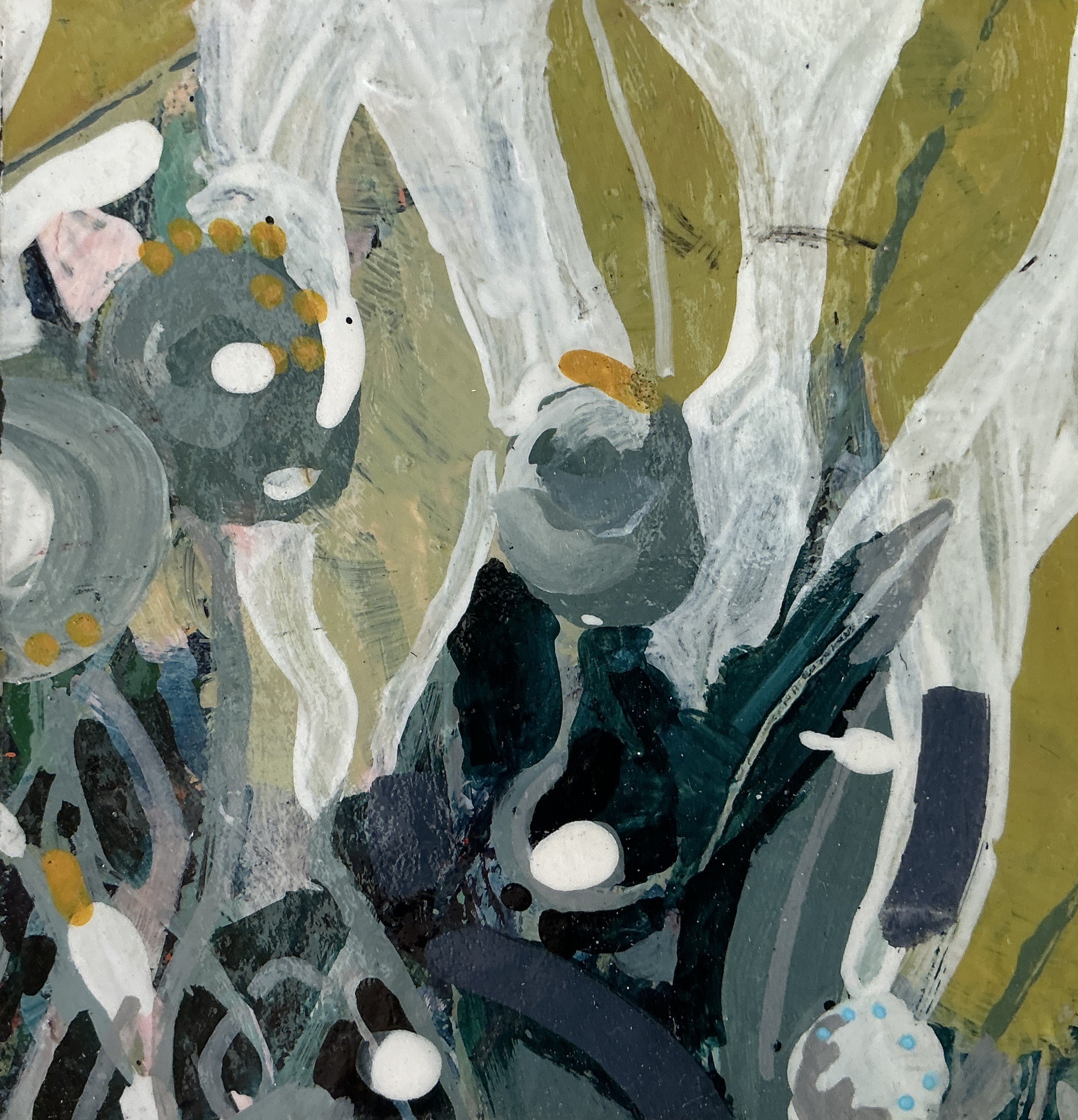 70 Silver Wattle II Teeny Tiny September