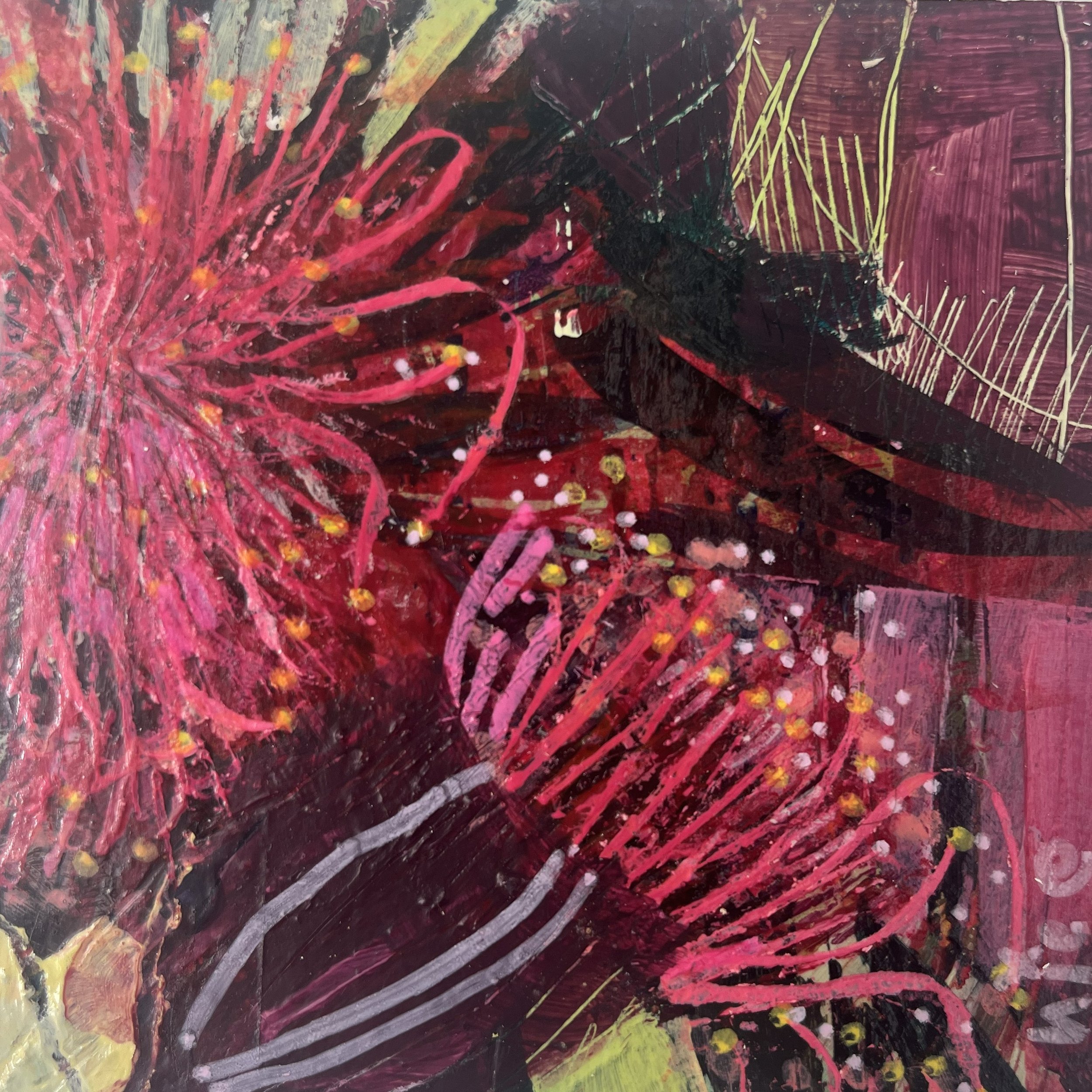 55 Pink Gum III