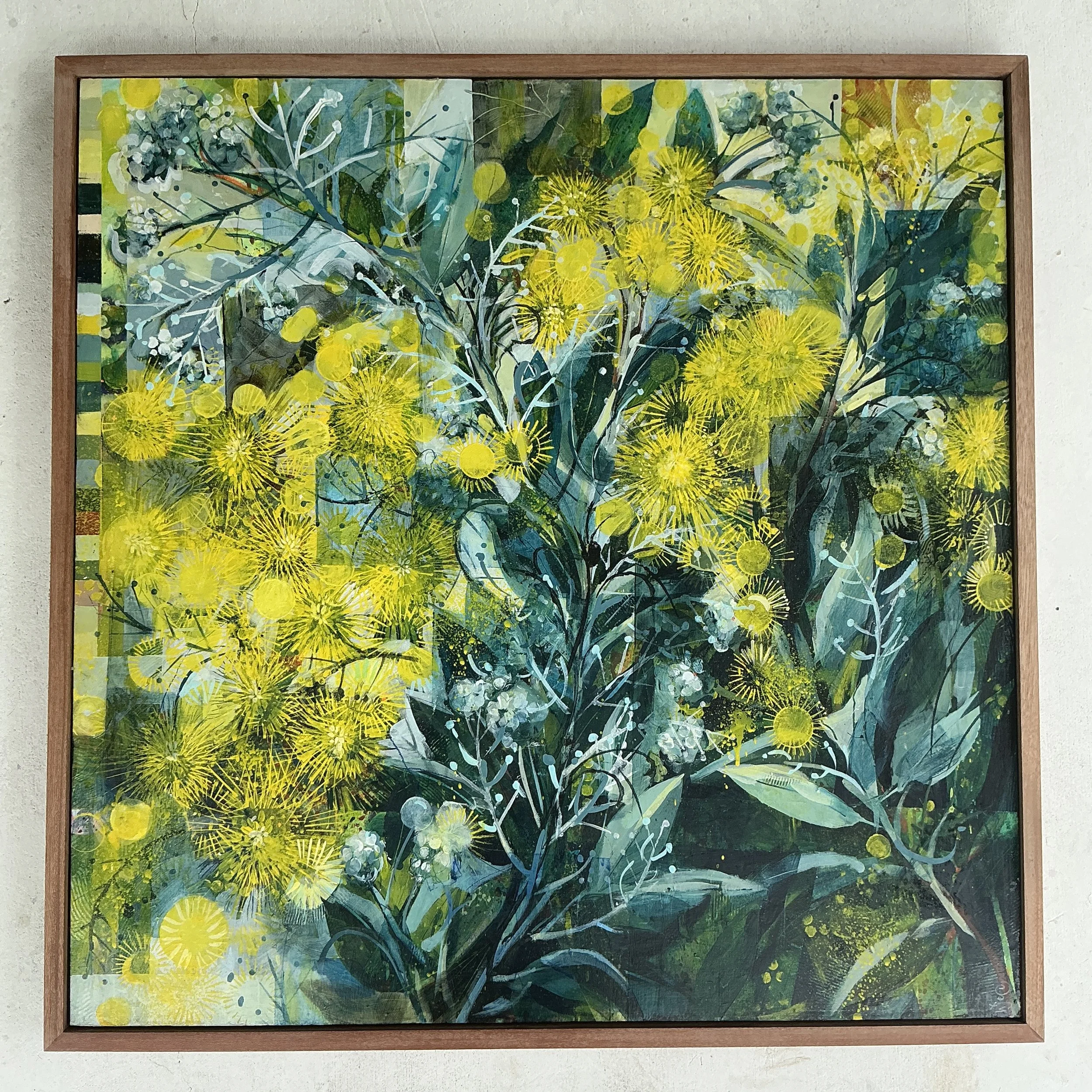 46_Helen Evans_Yellow Silver Wattle_framed_90x90x3.2cm_acrylic on cradled ply panel_ framed_$2100.JPG