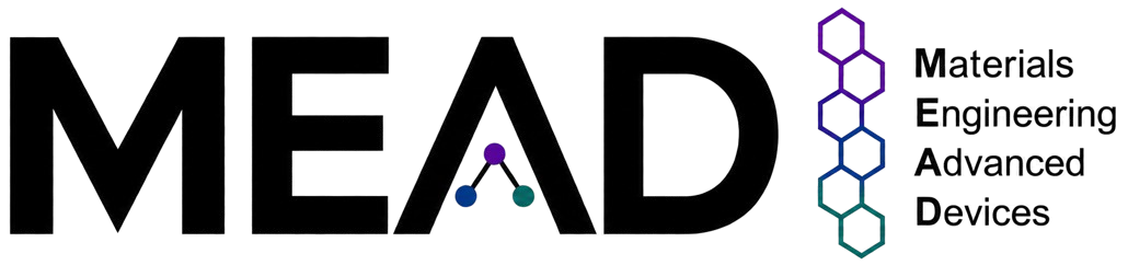 The MEAD Programme Grant