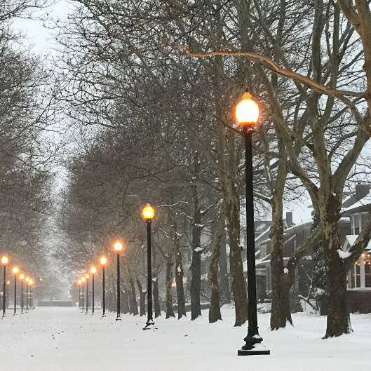 Winter Cheer! Sarah Grimes Plays Vivaldi