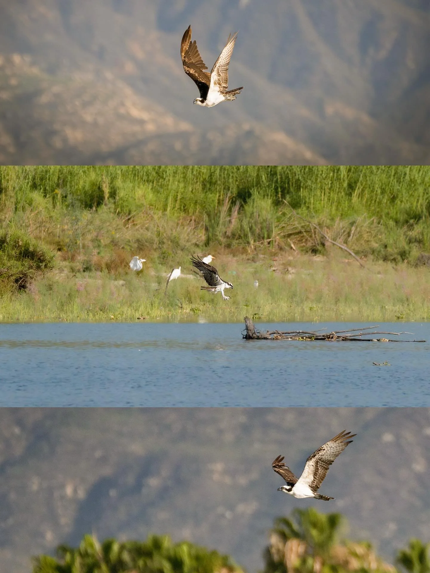 Voces del Estero
@rafa_alonso_photography