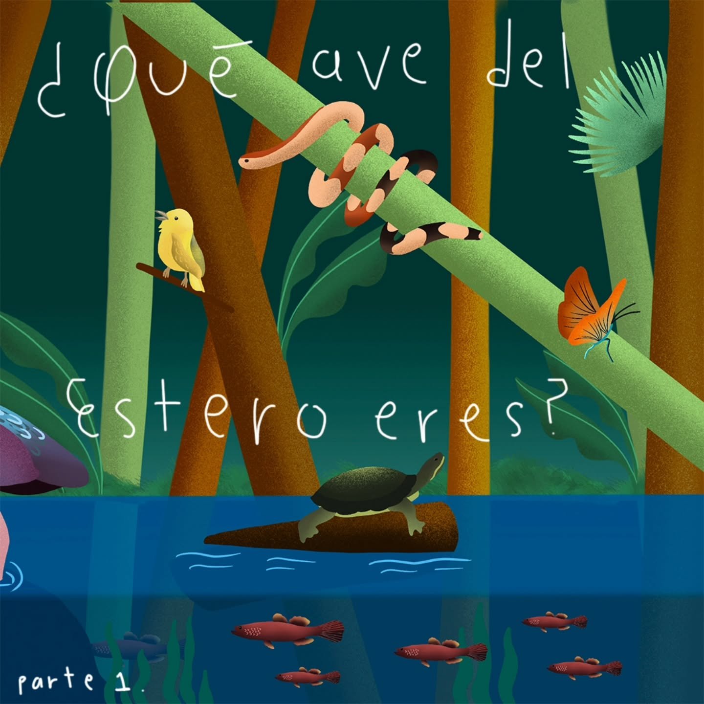 &iquest;Con qu&eacute; ave del Estero te identificas?
Parte 1.

Portada por @anasofiaganem 
Fotos por @mikeebcs