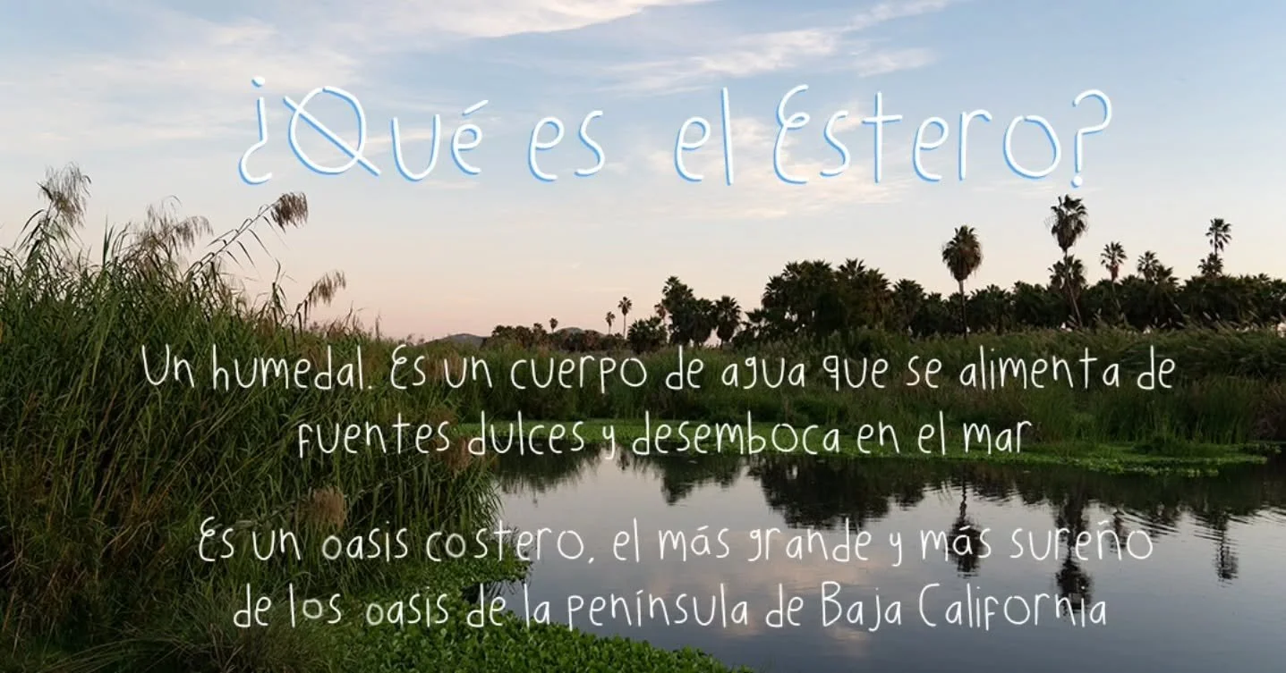 Aqu&iacute; un poquito de informaci&oacute;n del Estero 💚