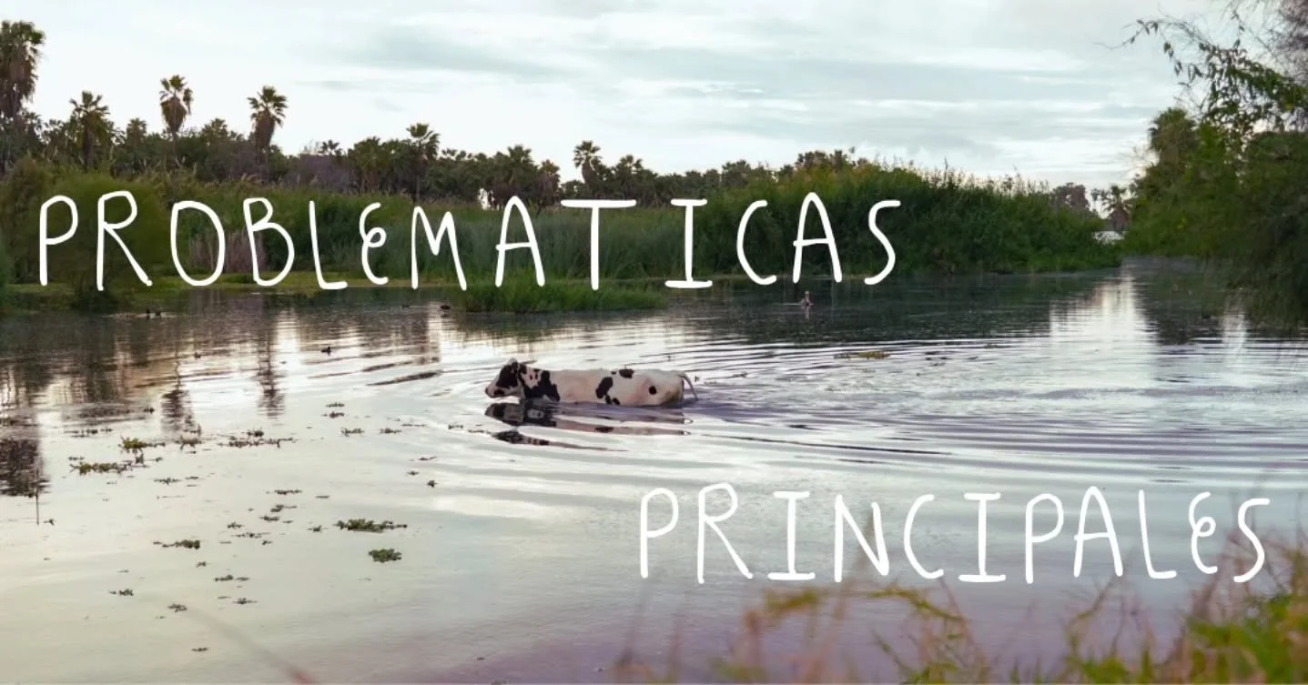 Les compartimos algunas de las problem&aacute;ticas principales que enfrenta el Estero.

&iquest;Cu&aacute;les otras identifican?