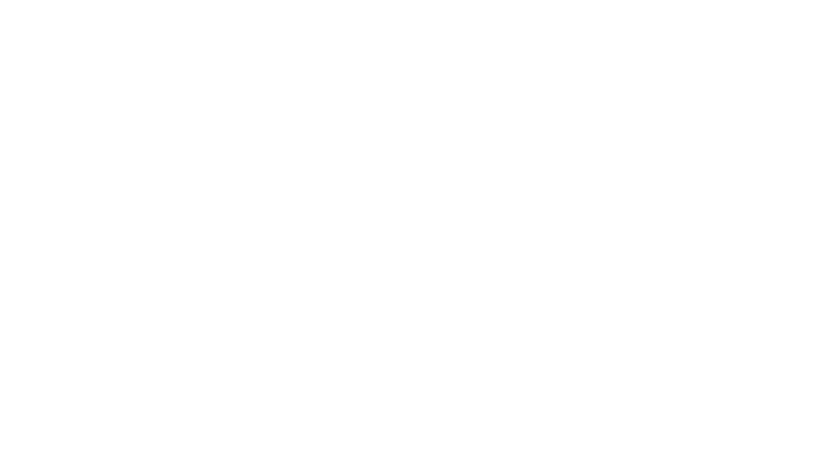 toyota.png