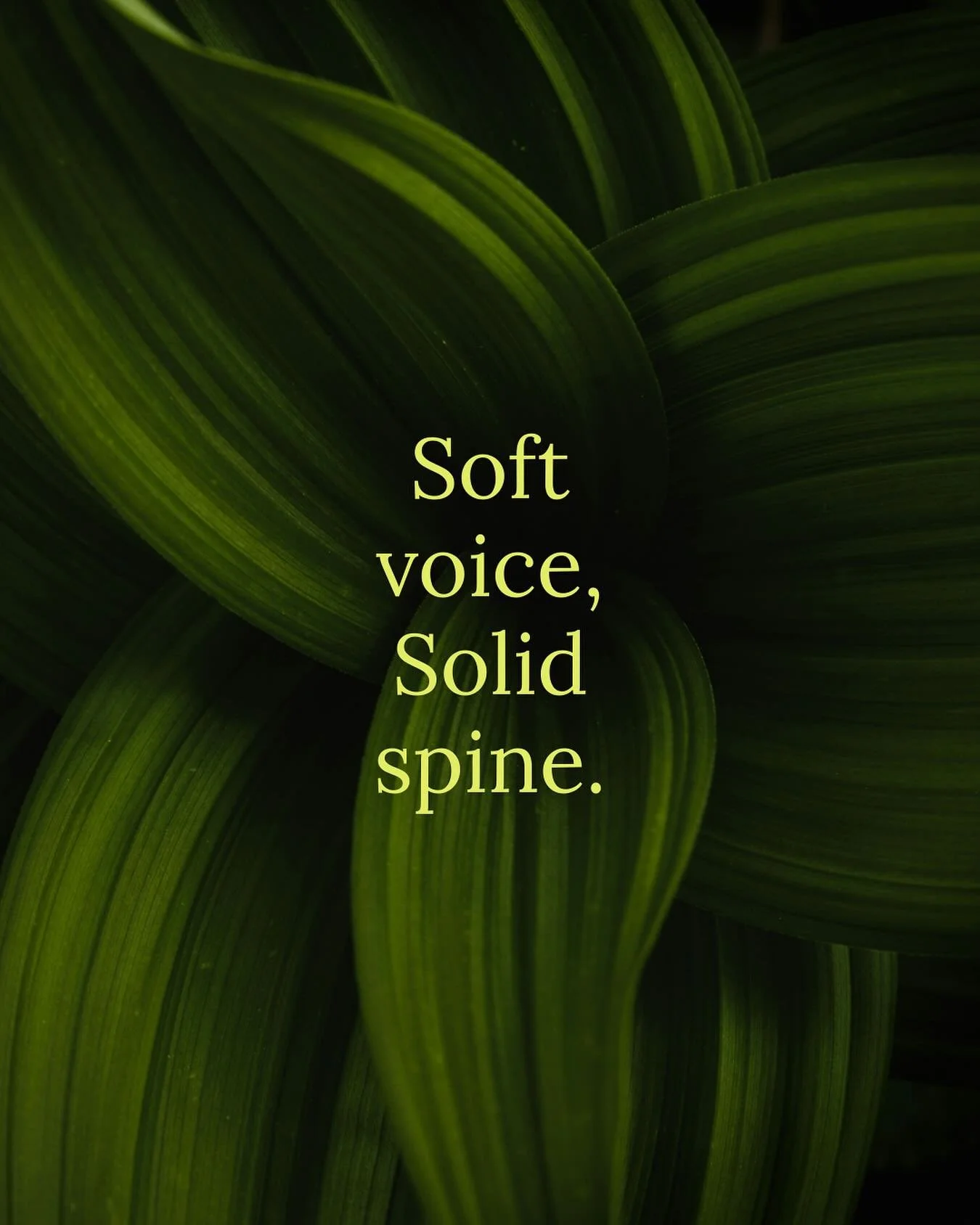 Strength doesn&rsquo;t need to be loud.

#lipii #healing #emotionalwellness #healingcommunity