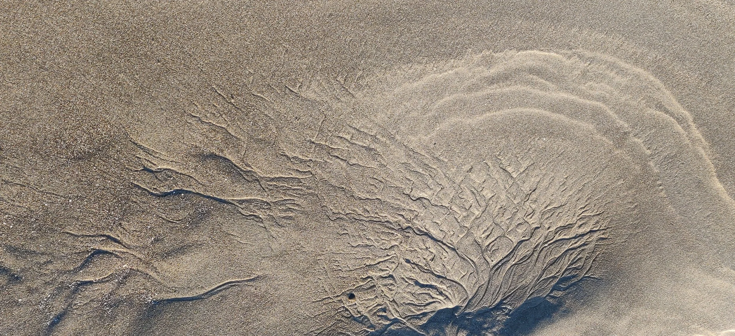 1000011710.jpg