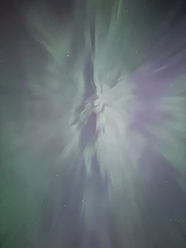 Turning the Mind Toward the Dharma