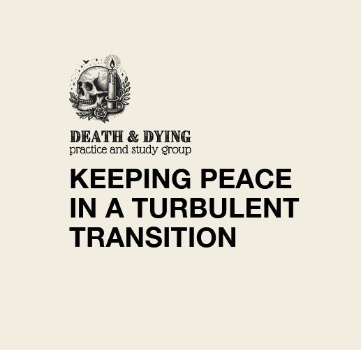 DDSP - Keeping Peace in a Turbulent Transition