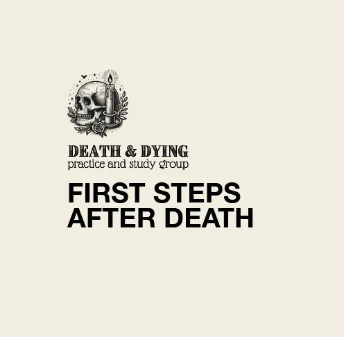 DDSP - First Steps After Death