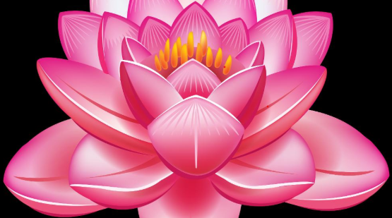 Annual Sangha Meeting
