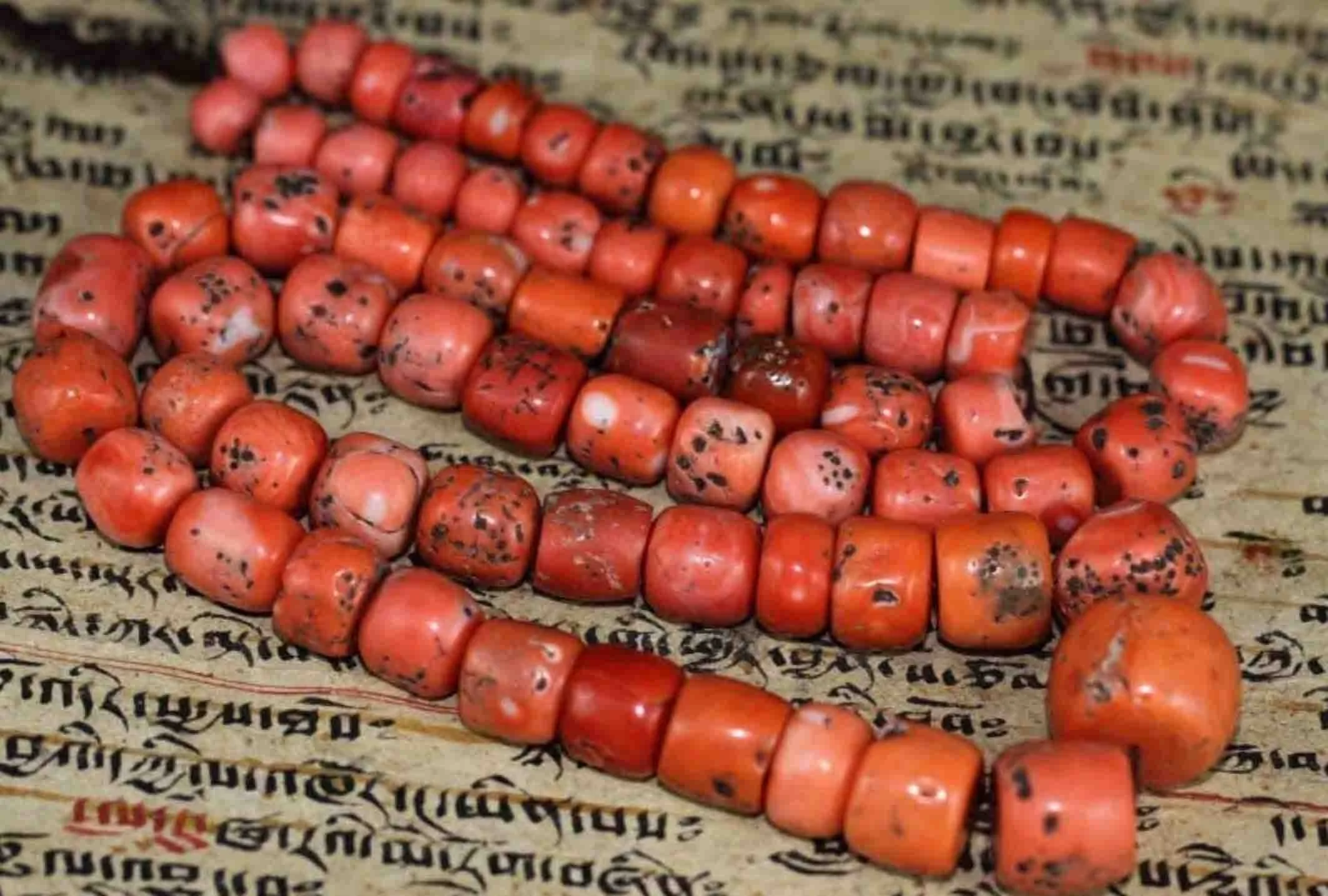 Turn Intention Into Action