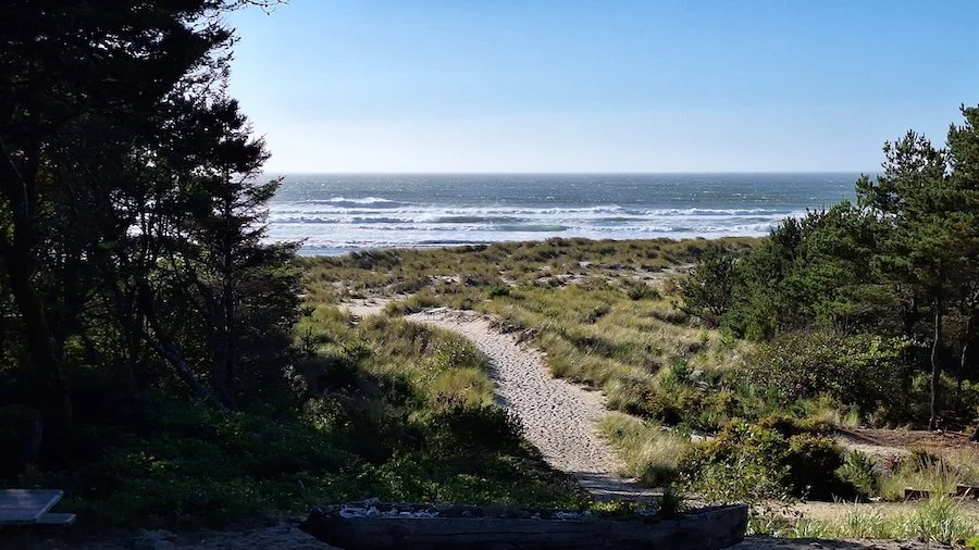 A winding sandy path leading to the ocean through trees and grass with a clear blue sky in the background