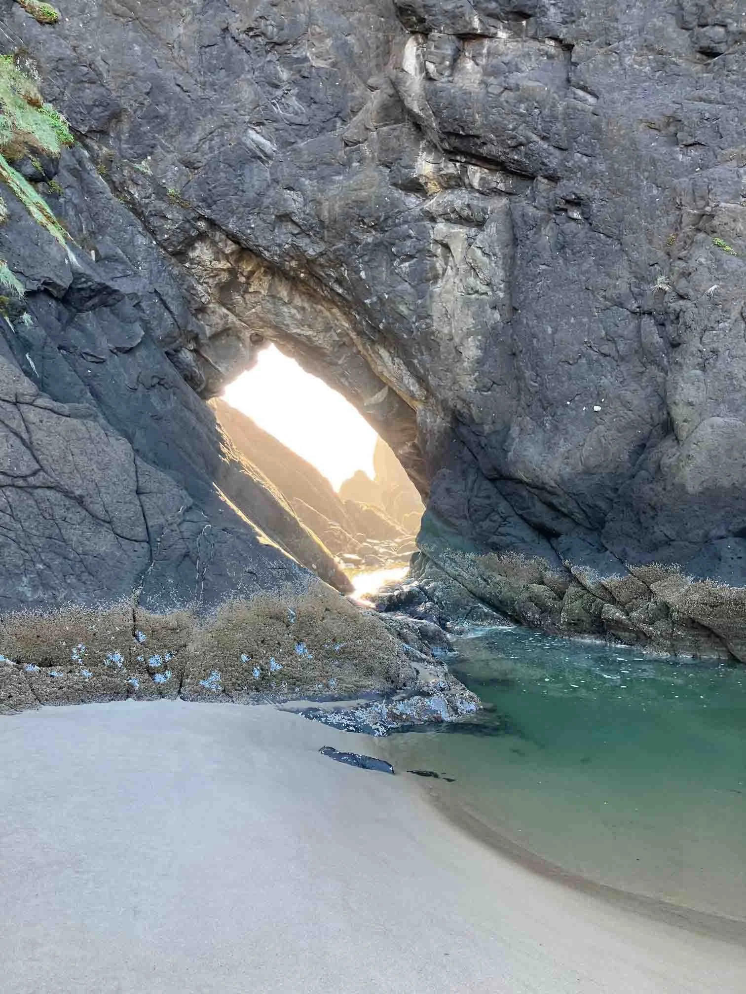 Daylong: The Cultivation of Generosity. 