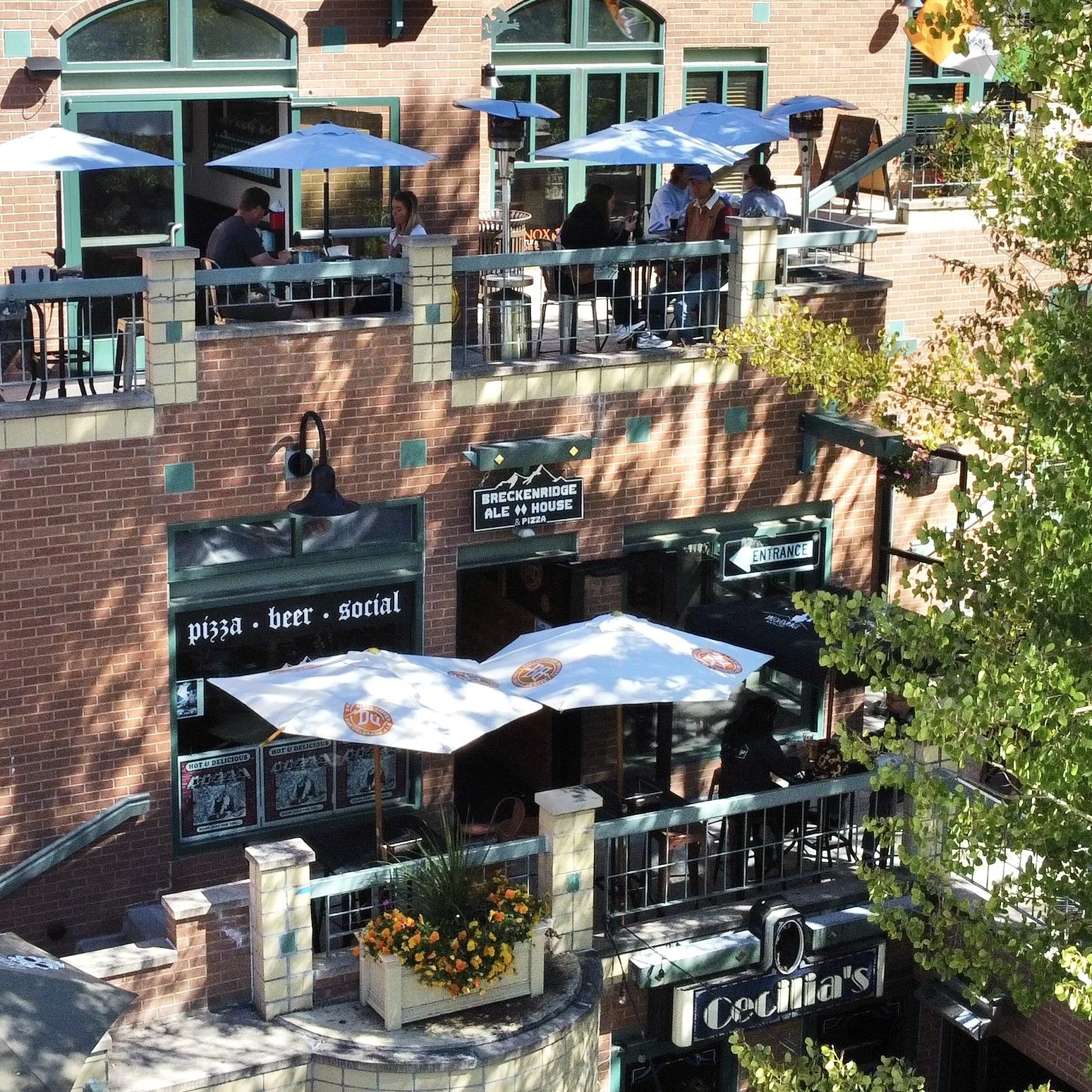 breckalehousedrone.jpg