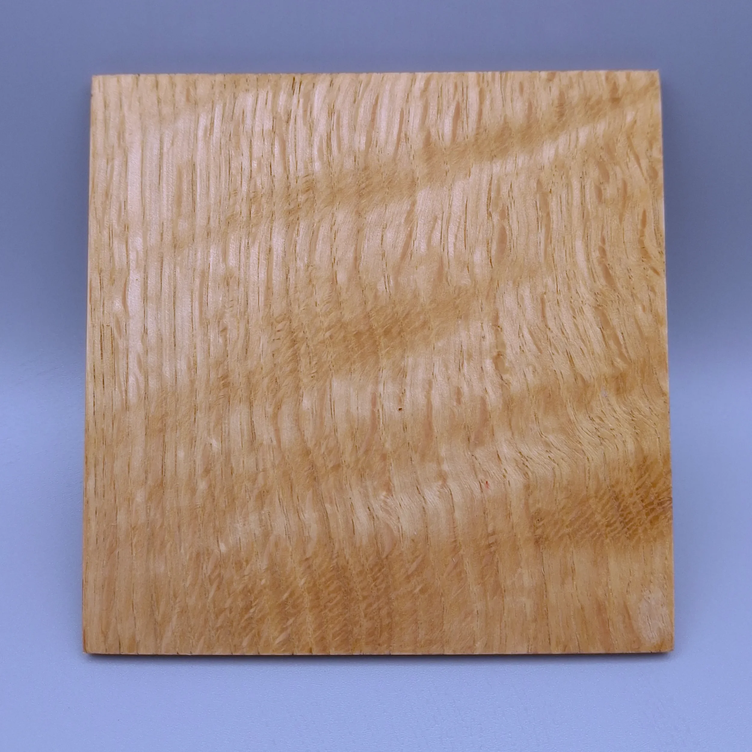 oak1.webp