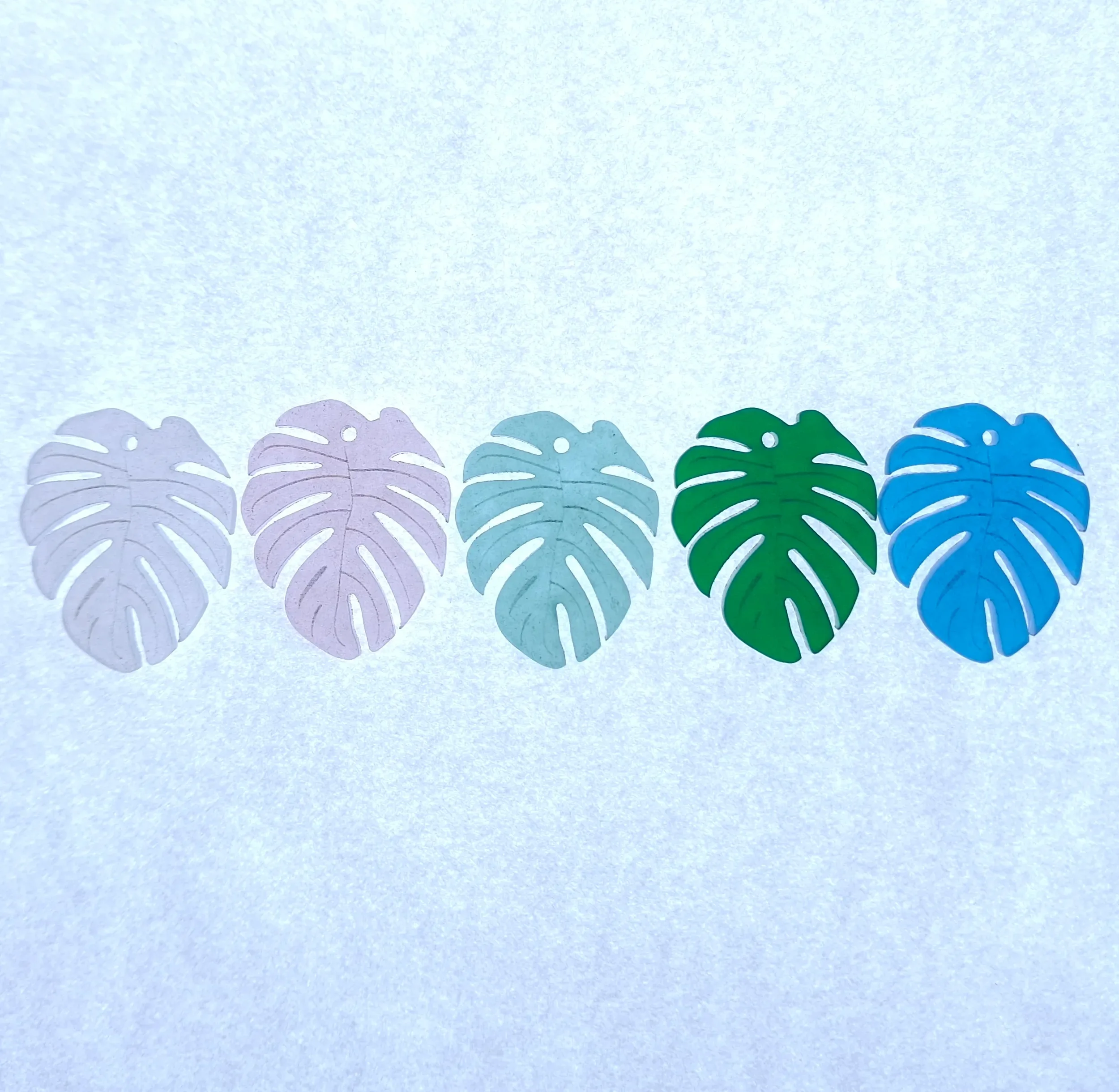 monstera.webp