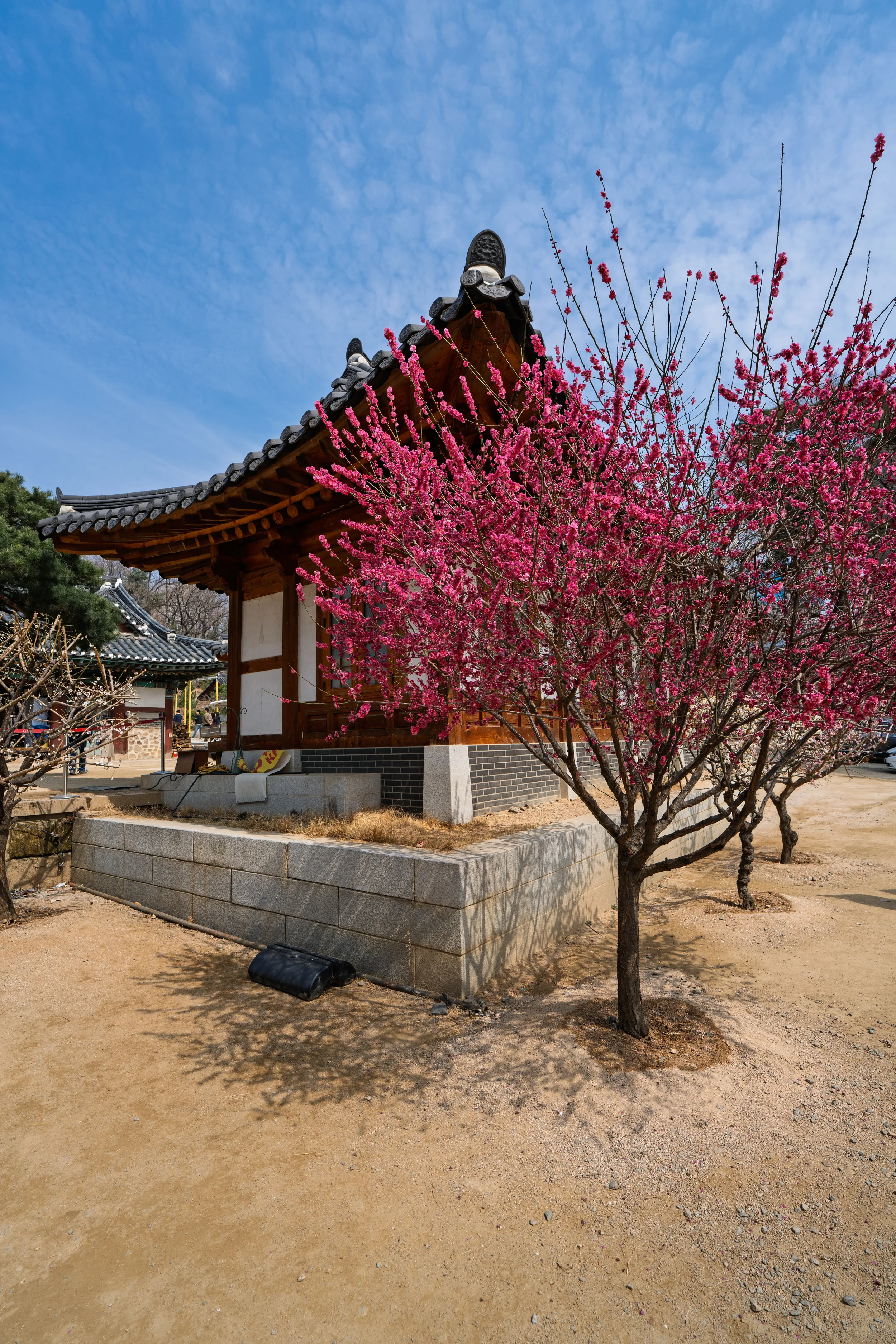 Südkorea-02225.webp