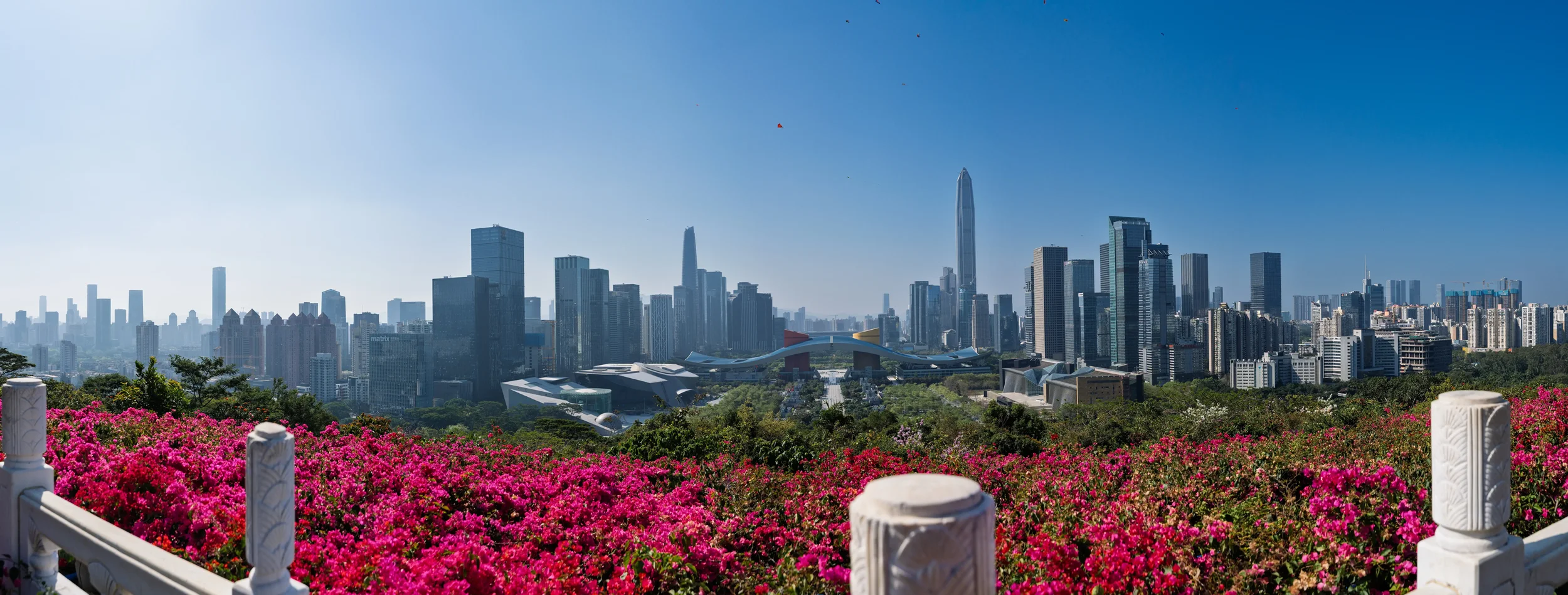 Shenzhen-01135-Pano.webp