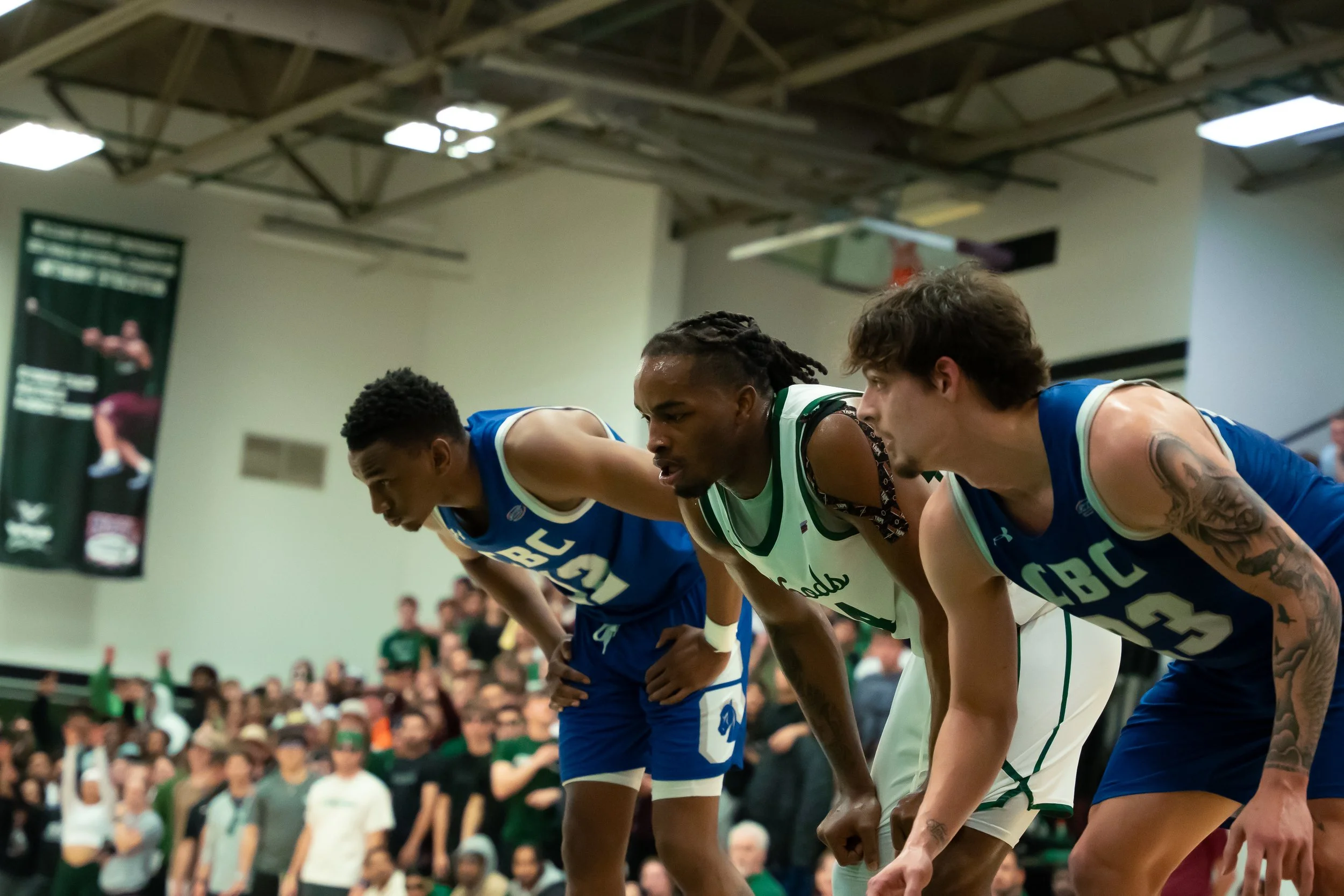 Three basketball players in blue and green jerseys crouched in a ready position on a basketball court, with a large crowd in the background.