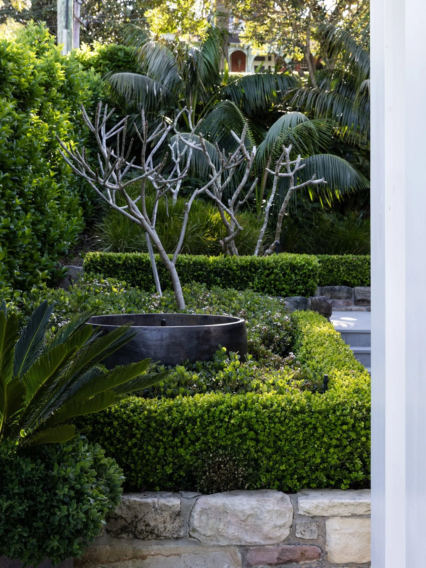 A layered tropical garden on the path leading to the front entry, offers a private resort-like welcome within a refined residential setting. Landscape design @strittdesignandconstruction. Stonemasonry and planting @scapesandstone. Photography @simonw