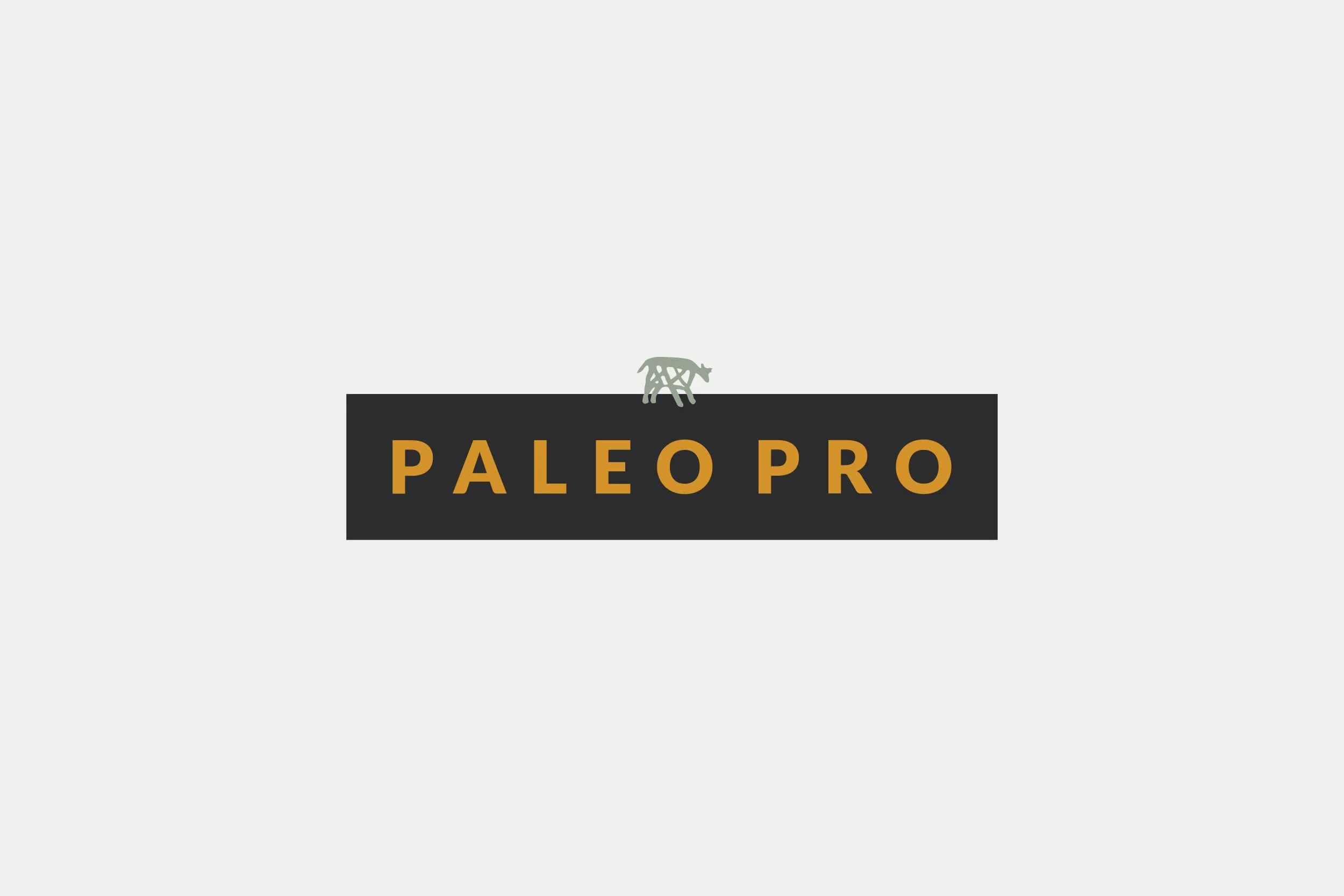 PaleoPro_new logo.jpg