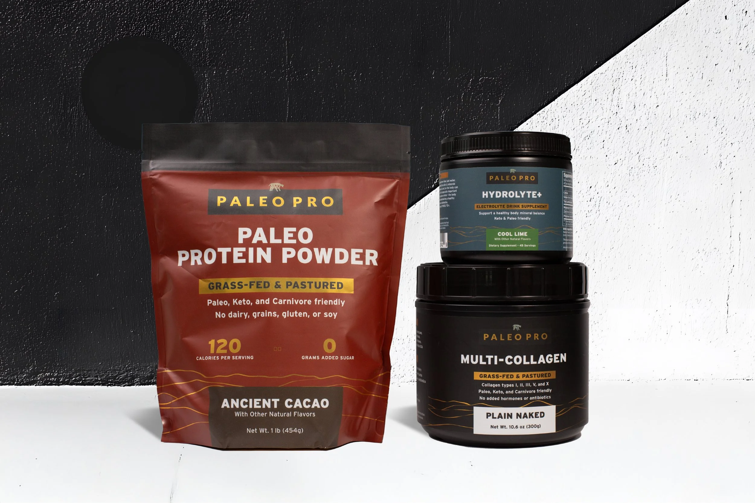 PaleoPro_old logo copy.jpg