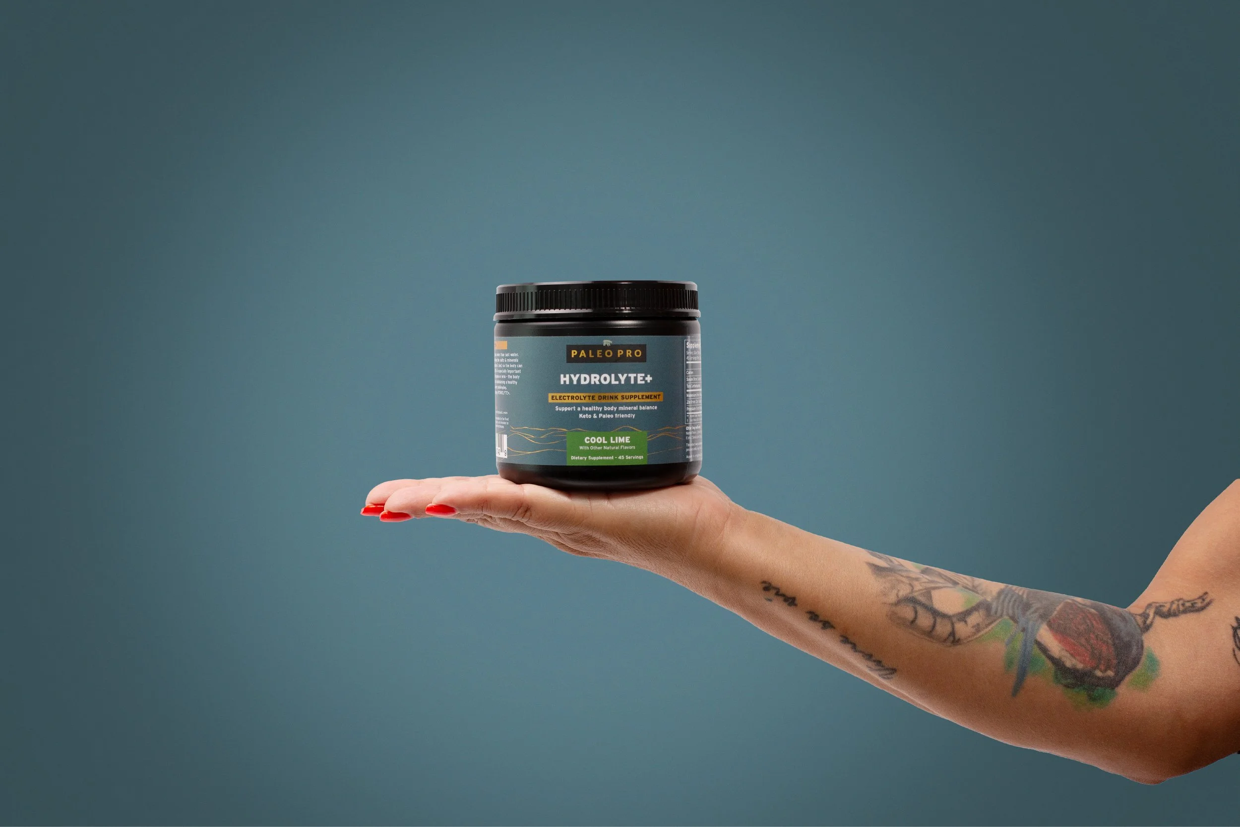 PaleoPro_icons copy.jpg