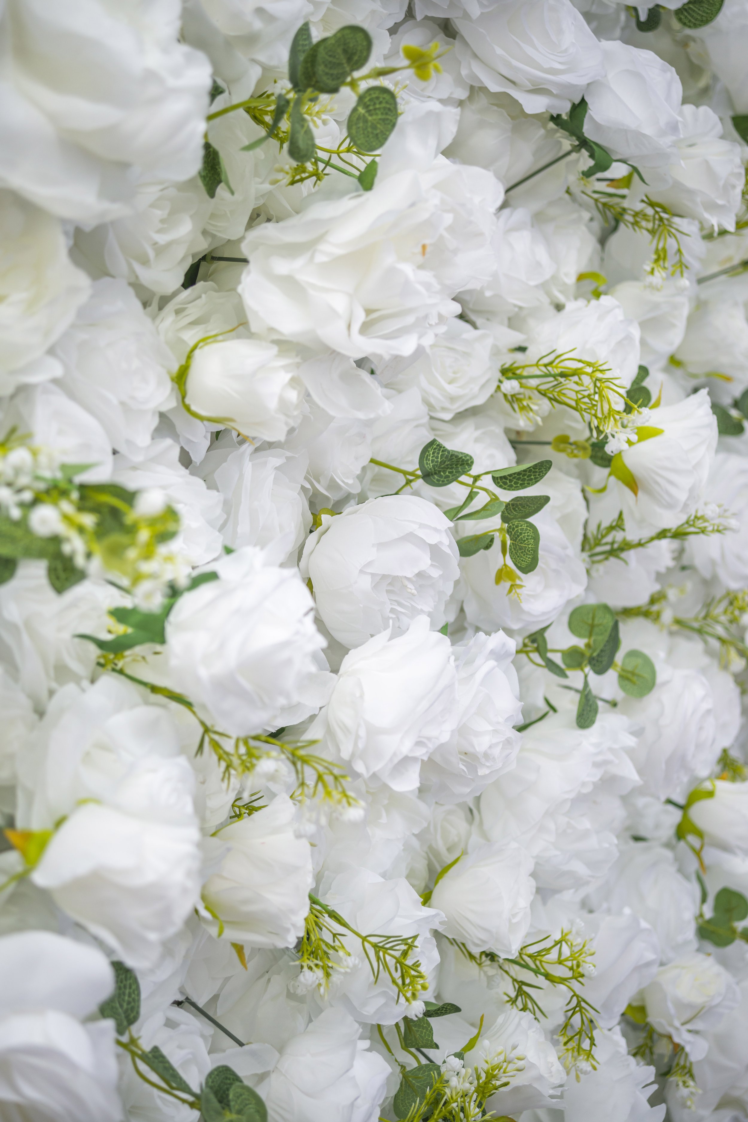 WhiteFlowerWallCloseUp_3.jpg