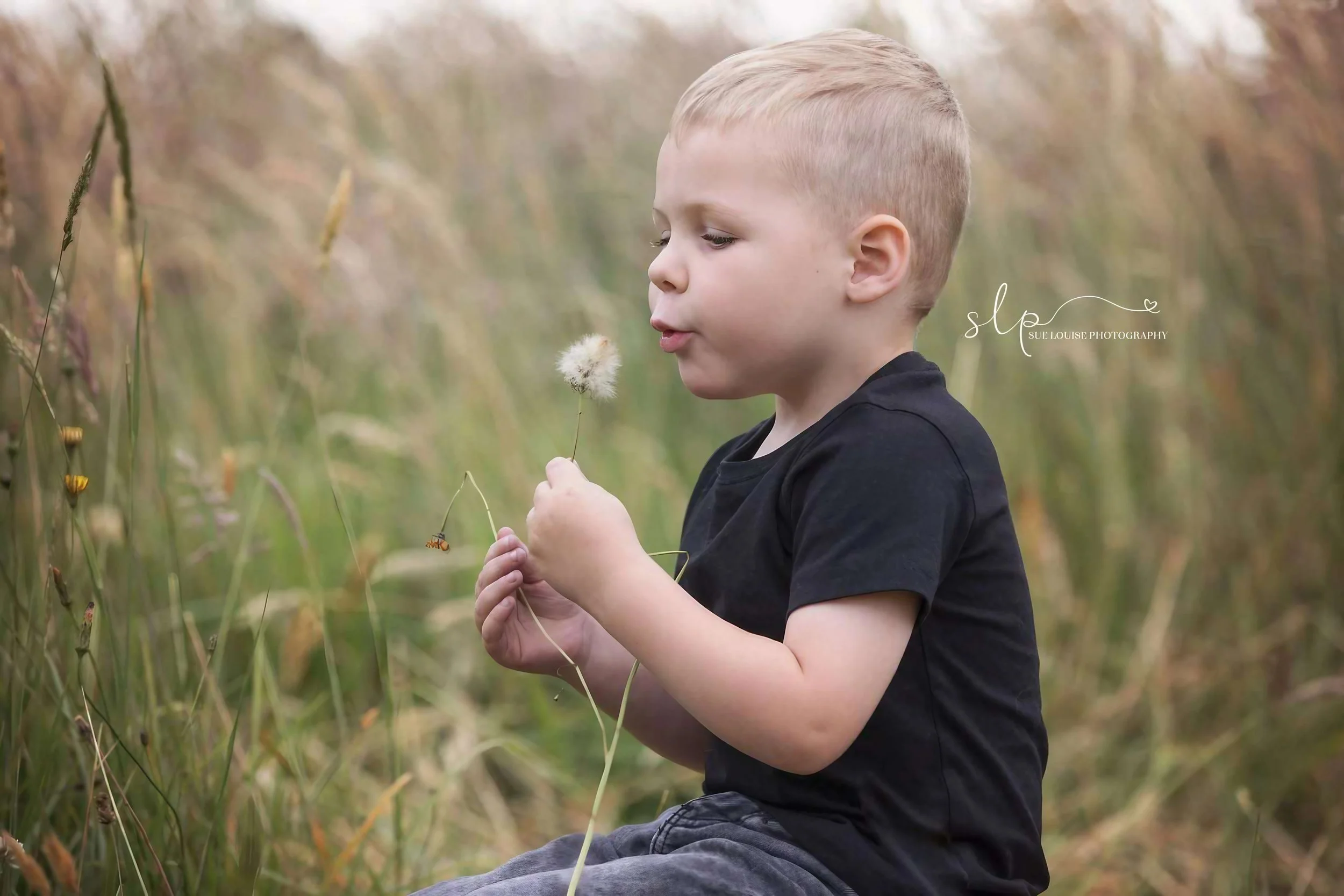 A young boy sitting in a field holding a dandelion puff and blowing on it, with a blurred natural background.