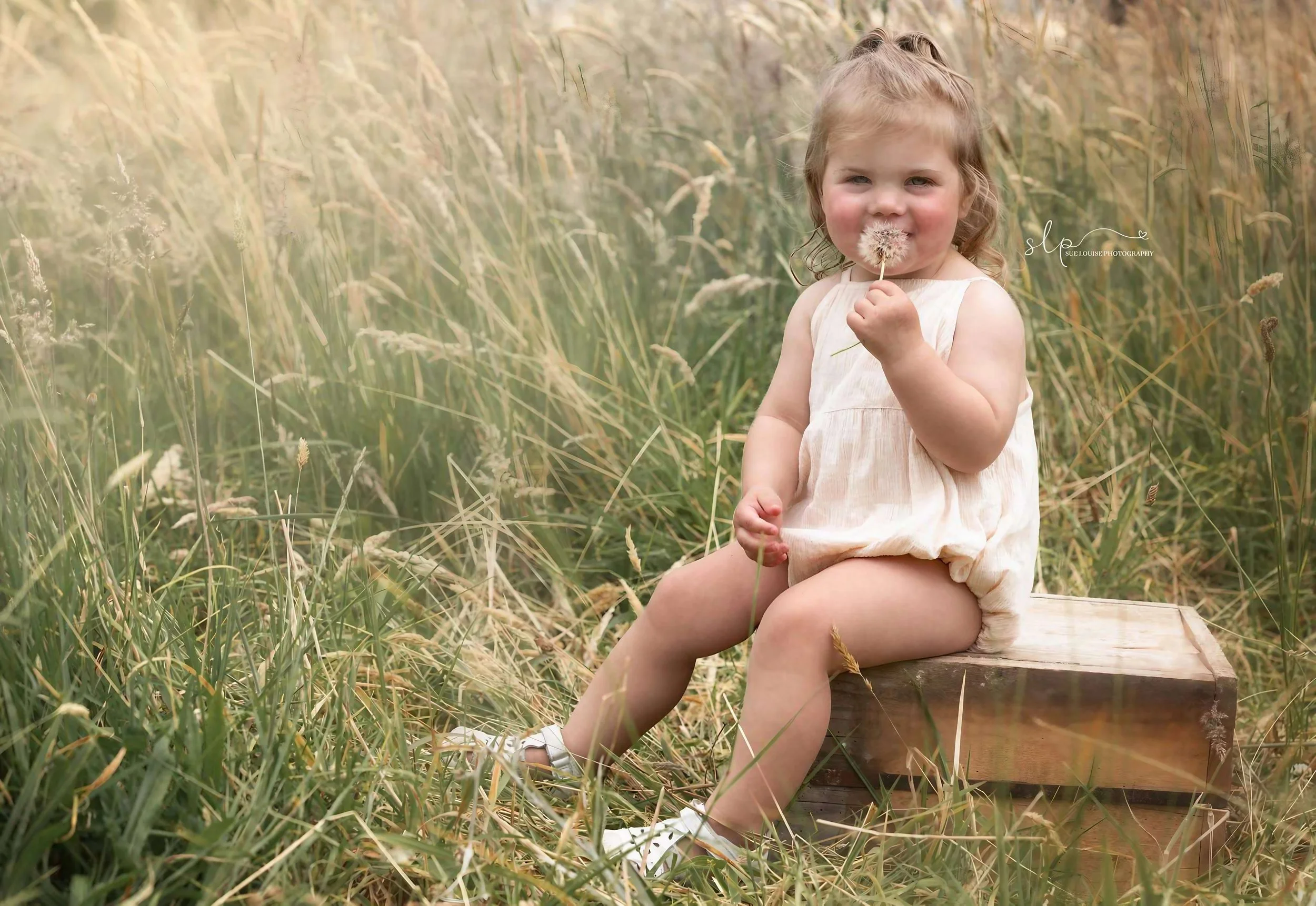 A young girl with curly hair sitting on a wooden box in tall, grassy field, holding a dandelion and blowing on it, wearing a light-colored sleeveless dress and white shoes.