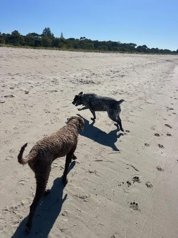 rs=w_600,cg_true,m (30).webp