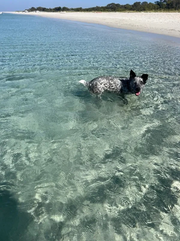 rs=w_600,cg_true,m (29).webp