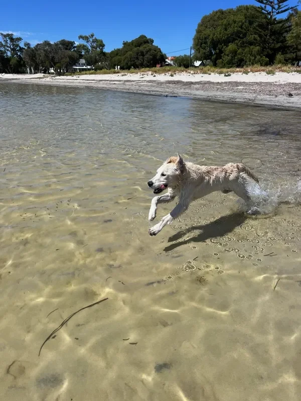 rs=w_600,cg_true,m (28).webp