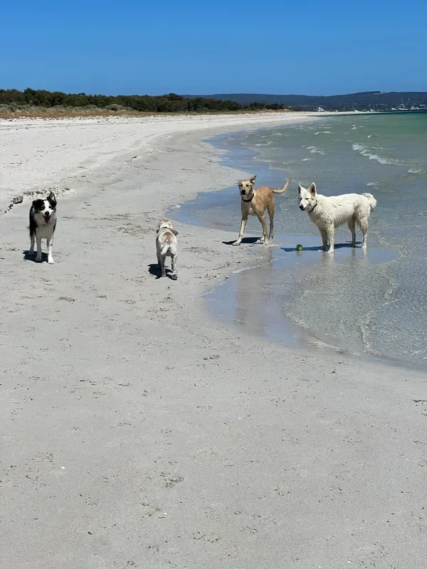 rs=w_600,cg_true,m (27).webp